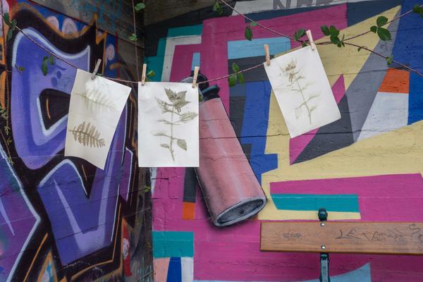 Impressions des plantes du Marais Wiels (image: Bea Borgers) Impressions des plantes du Marais Wiels (image: Bea Borgers)